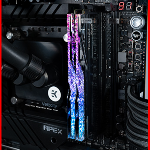 ოპერატიული DDR5